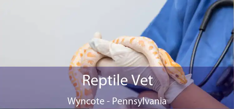 Reptile Vet Wyncote - Pennsylvania