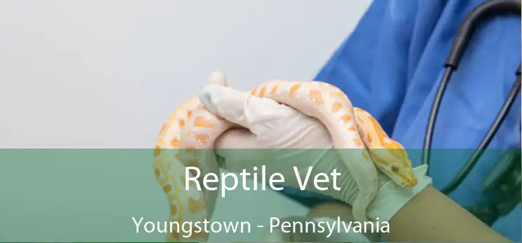 Reptile Vet Youngstown - Pennsylvania