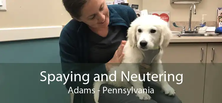 Spaying and Neutering Adams - Pennsylvania