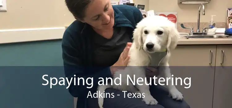 Spaying and Neutering Adkins - Texas