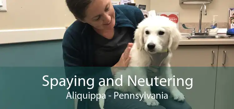 Spaying and Neutering Aliquippa - Pennsylvania