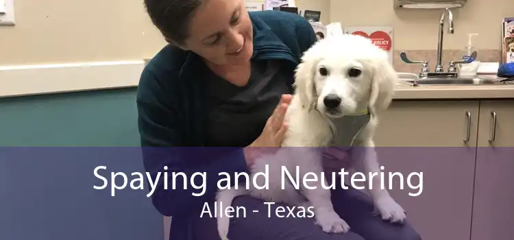 Spaying and Neutering Allen - Texas