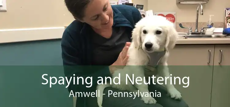 Spaying and Neutering Amwell - Pennsylvania