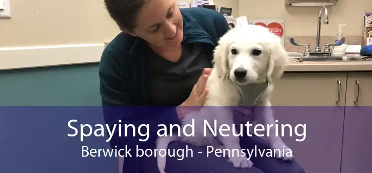 Spaying and Neutering Berwick borough - Pennsylvania