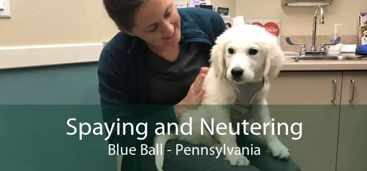Spaying and Neutering Blue Ball - Pennsylvania