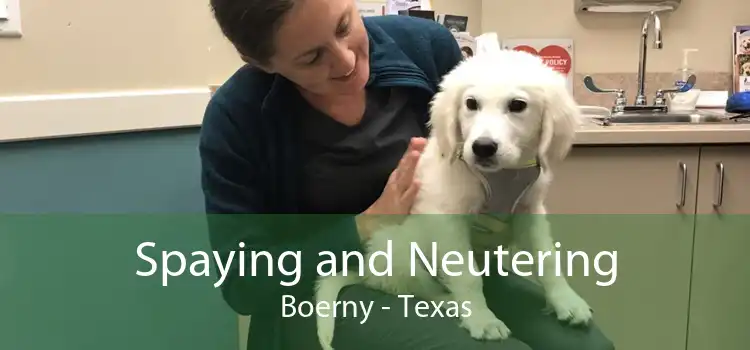 Spaying and Neutering Boerny - Texas