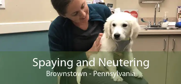 Spaying and Neutering Brownstown - Pennsylvania