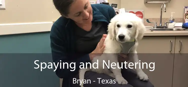 Spaying and Neutering Bryan - Texas