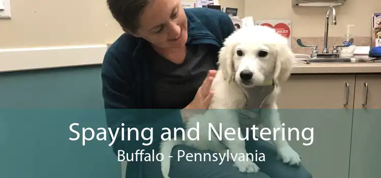 Spaying and Neutering Buffalo - Pennsylvania