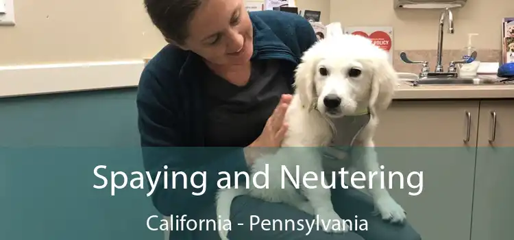 Spaying and Neutering California - Pennsylvania