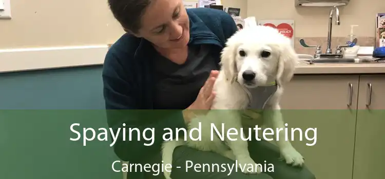 Spaying and Neutering Carnegie - Pennsylvania