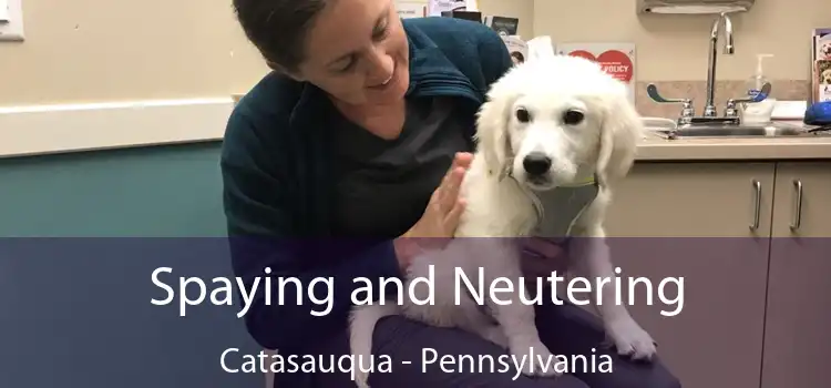 Spaying and Neutering Catasauqua - Pennsylvania