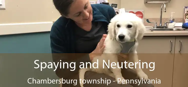 Spaying and Neutering Chambersburg township - Pennsylvania