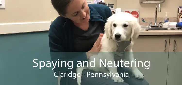 Spaying and Neutering Claridge - Pennsylvania