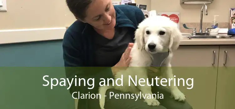 Spaying and Neutering Clarion - Pennsylvania