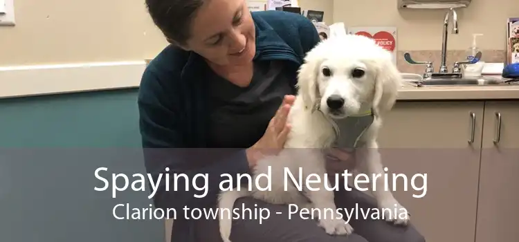 Spaying and Neutering Clarion township - Pennsylvania