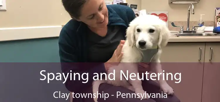 Spaying and Neutering Clay township - Pennsylvania