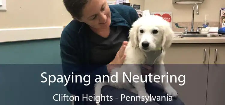 Spaying and Neutering Clifton Heights - Pennsylvania
