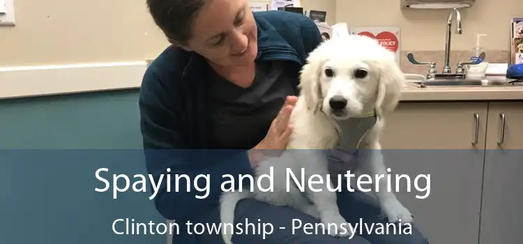 Spaying and Neutering Clinton township - Pennsylvania