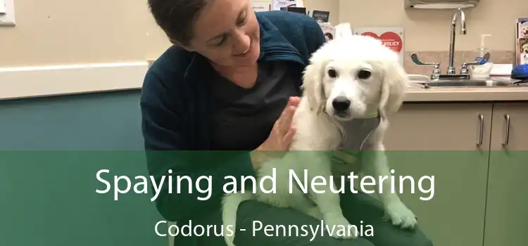Spaying and Neutering Codorus - Pennsylvania