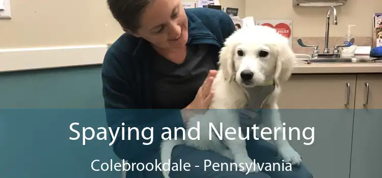 Spaying and Neutering Colebrookdale - Pennsylvania
