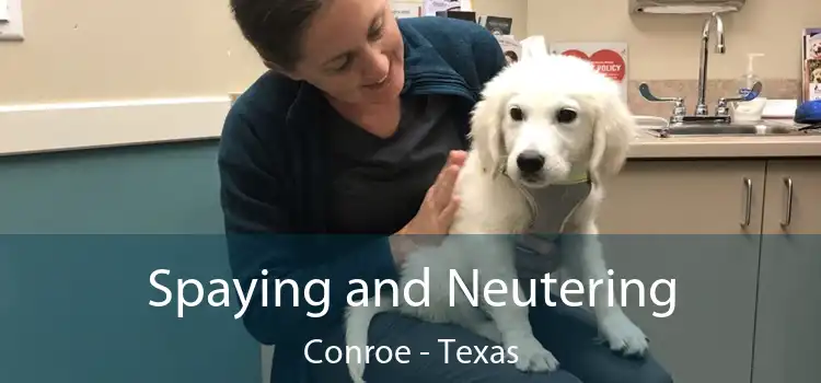 Spaying and Neutering Conroe - Texas