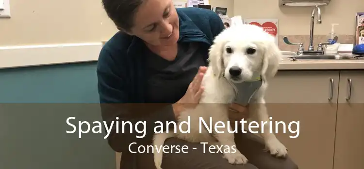 Spaying and Neutering Converse - Texas