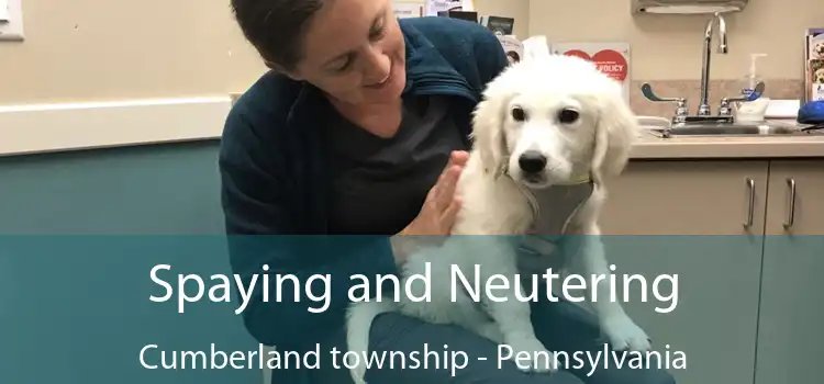 Spaying and Neutering Cumberland township - Pennsylvania