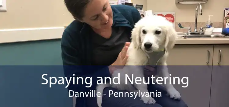 Spaying and Neutering Danville - Pennsylvania