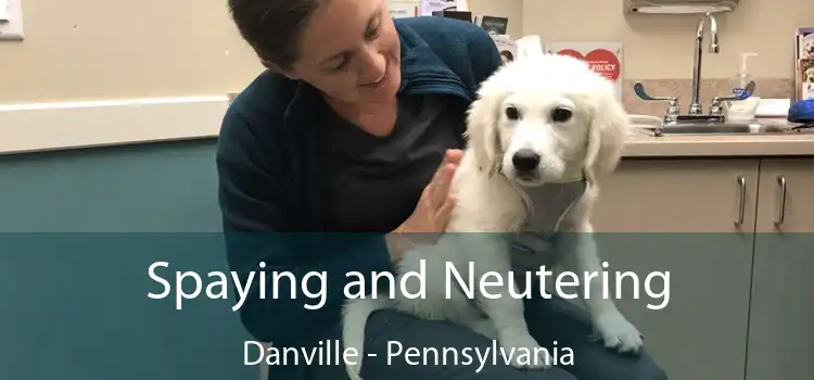 Spaying and Neutering Danville - Pennsylvania