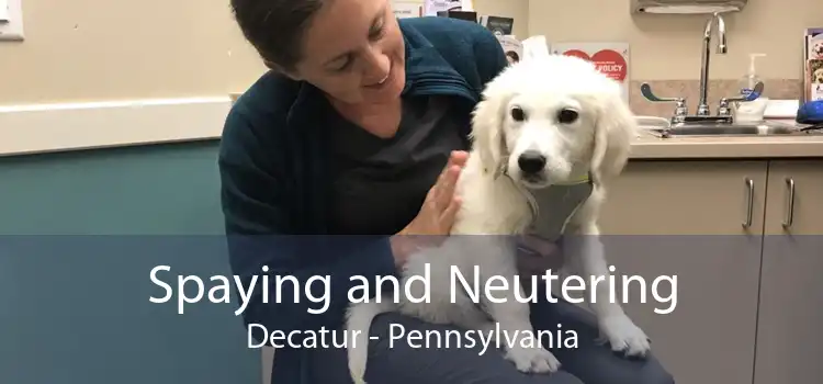 Spaying and Neutering Decatur - Pennsylvania