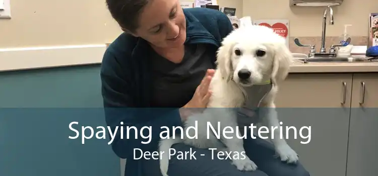 Spaying and Neutering Deer Park - Texas