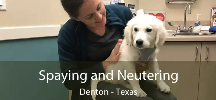 Spaying and Neutering Denton - Texas