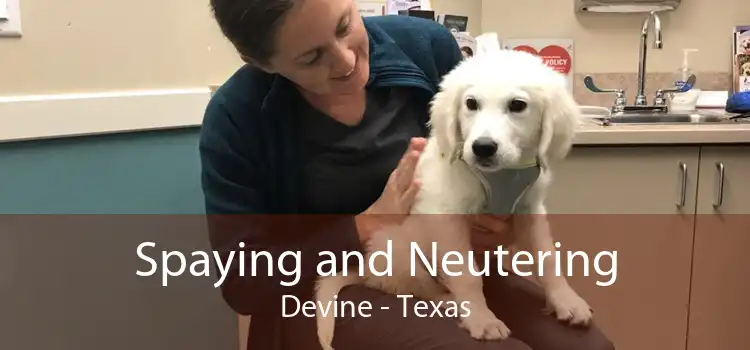 Spaying and Neutering Devine - Texas