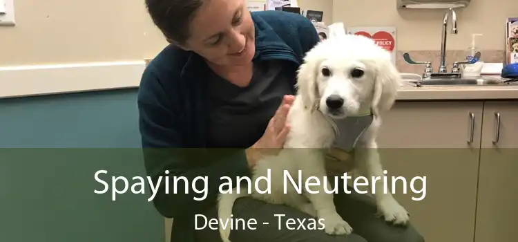 Spaying and Neutering Devine - Texas