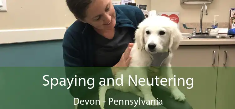 Spaying and Neutering Devon - Pennsylvania