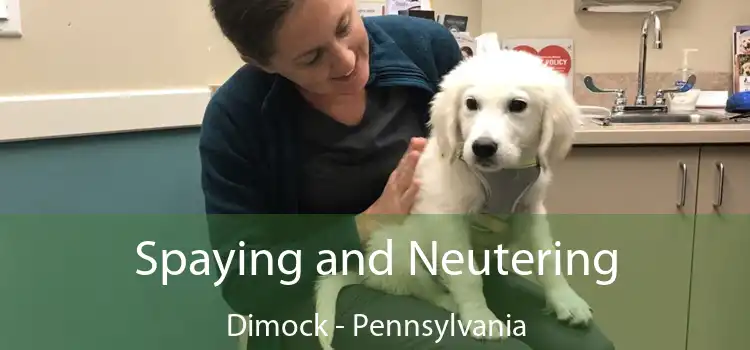 Spaying and Neutering Dimock - Pennsylvania