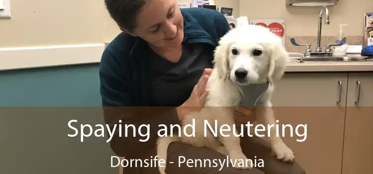 Spaying and Neutering Dornsife - Pennsylvania