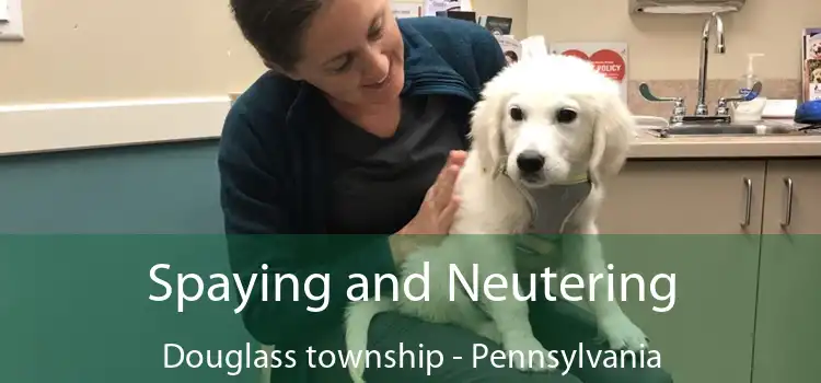 Spaying and Neutering Douglass township - Pennsylvania