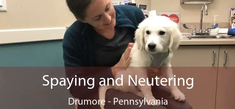 Spaying and Neutering Drumore - Pennsylvania