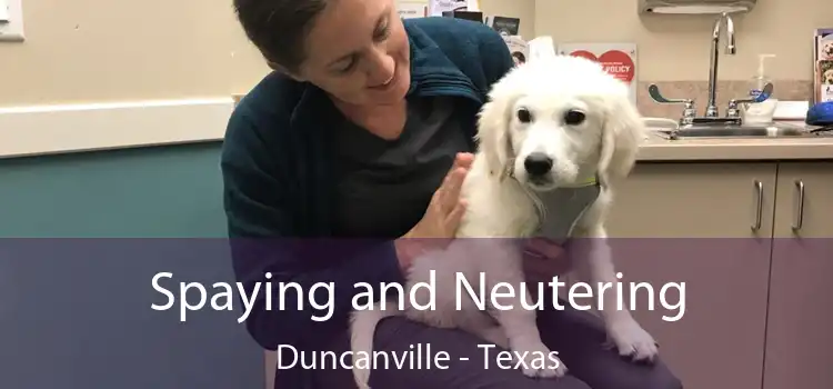 Spaying and Neutering Duncanville - Texas
