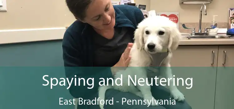Spaying and Neutering East Bradford - Pennsylvania