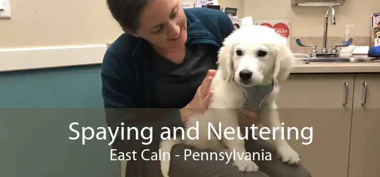 Spaying and Neutering East Caln - Pennsylvania