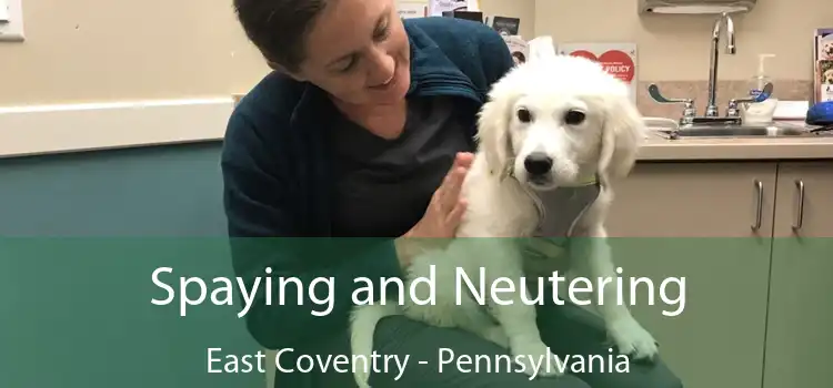 Spaying and Neutering East Coventry - Pennsylvania