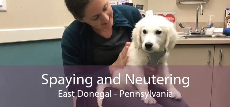 Spaying and Neutering East Donegal - Pennsylvania
