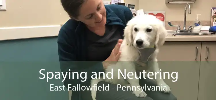 Spaying and Neutering East Fallowfield - Pennsylvania