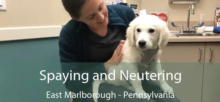 Spaying and Neutering East Marlborough - Pennsylvania