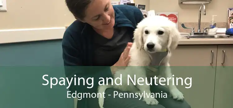 Spaying and Neutering Edgmont - Pennsylvania