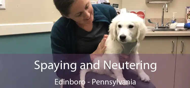 Spaying and Neutering Edinboro - Pennsylvania