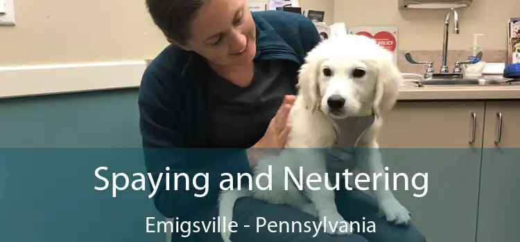 Spaying and Neutering Emigsville - Pennsylvania